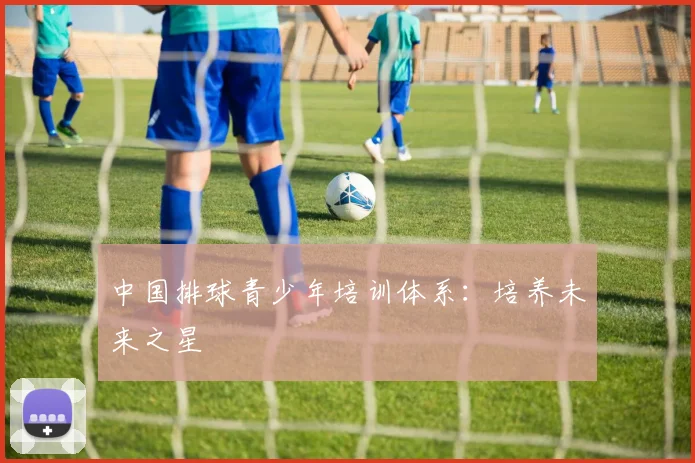 中国排球青少年培训体系：培养未来之星