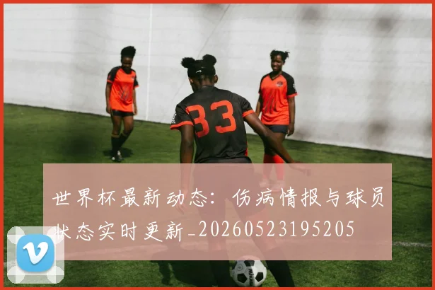 世界杯最新动态:伤病情报与球员状态实时更新_20260523195205